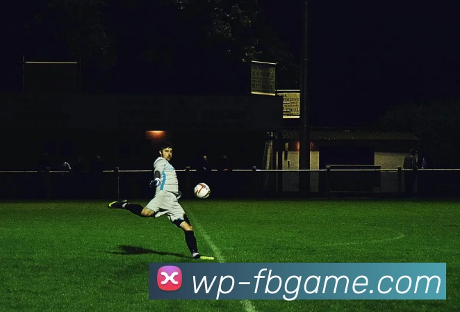 多媒体互动体验